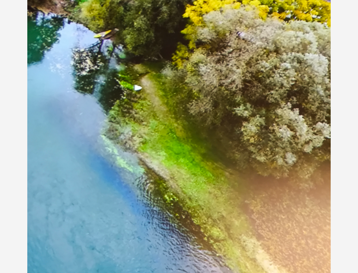 Projekcija brega podarjene parcele